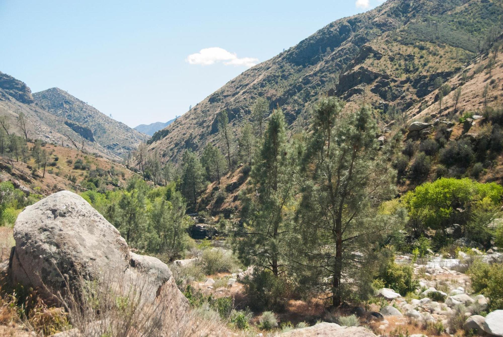 קרנוויל Corral Creek Lodge מראה חיצוני תמונה