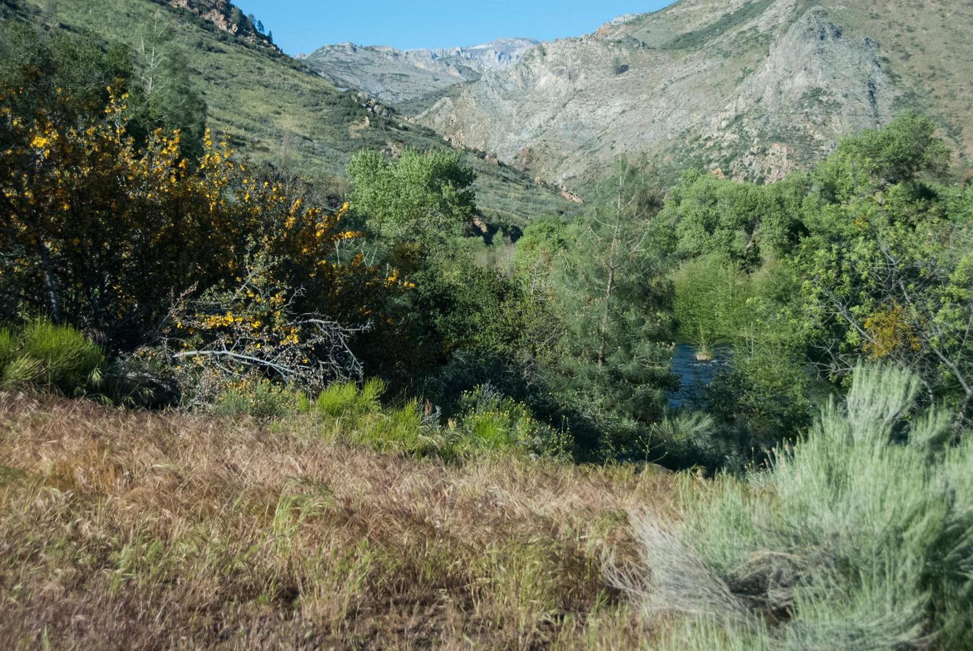 קרנוויל Corral Creek Lodge מראה חיצוני תמונה
